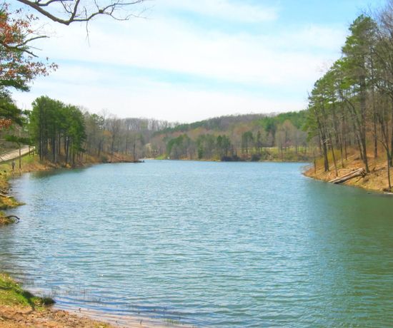 A wide expanse of blue lake with tall trees on either side