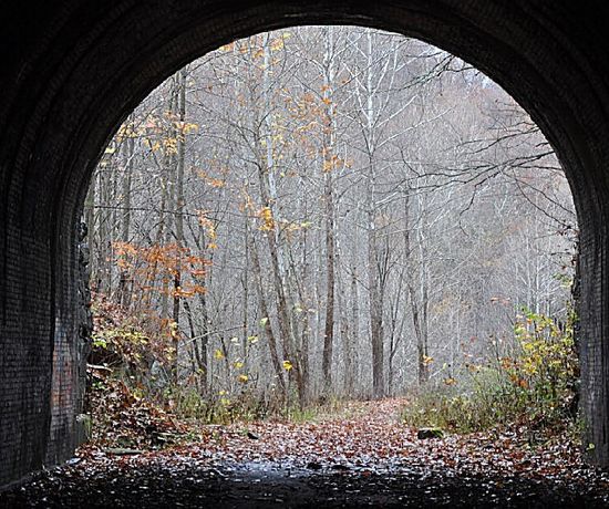 The inside of a tunnel - the end shows a well lit forest with bare trees. The ground is covered in leaves.